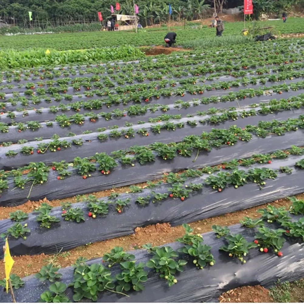Ground Cover Plants Film Perforated Mulch 10m*0.95m/10m*1.35m Anti Grass Farm Vegetable Gardening Tools Home Garden