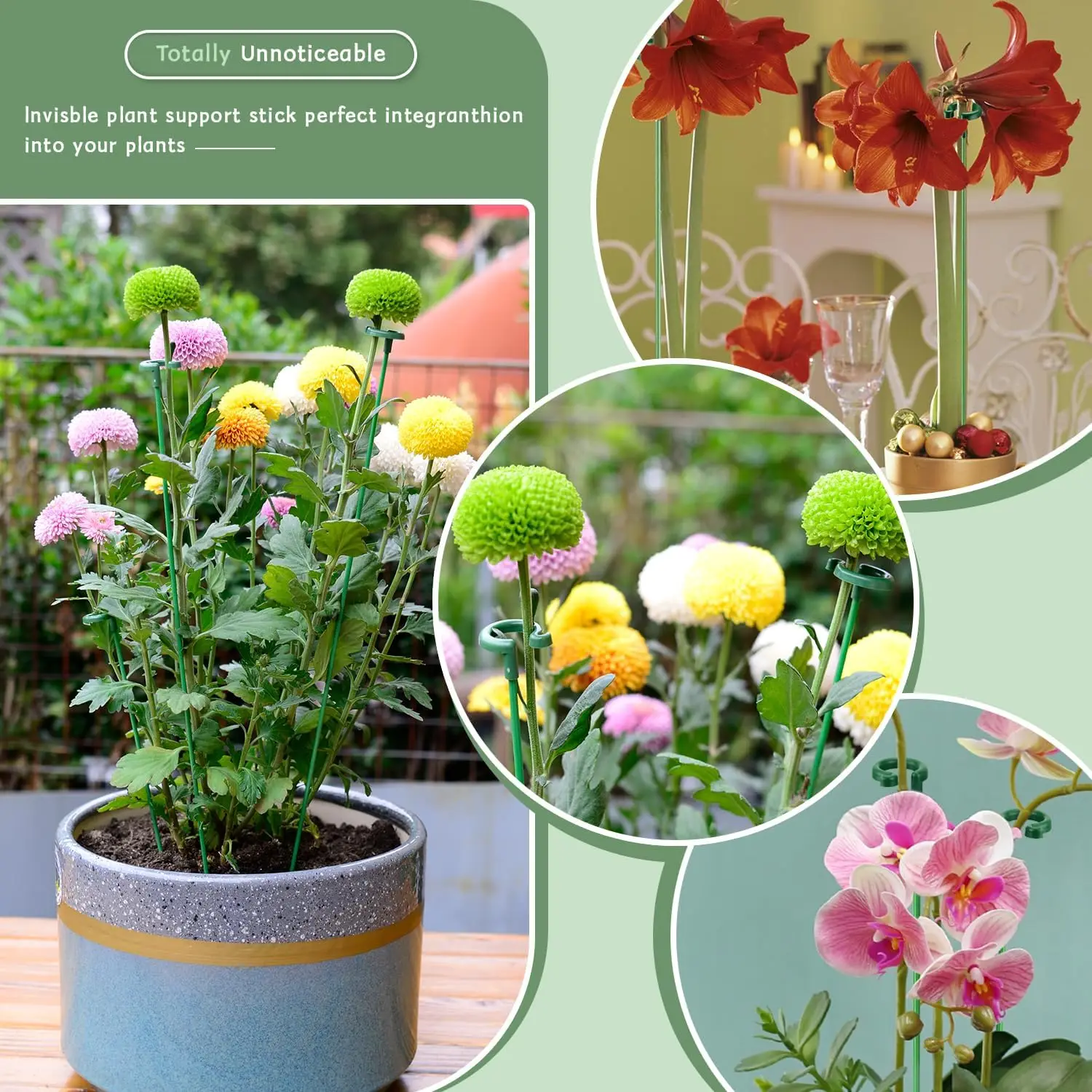 5/10PCS Plant Supports Stand Butterflies Orchid Flower Potted Fixing Rods Reusable Vegetable Protection Fixing Tool Gardening Su thumbnail 4