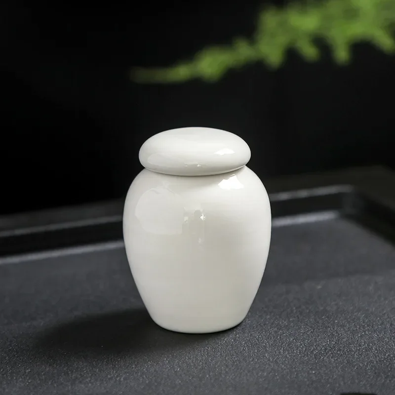 Mini Pet Urn Ashes for Human Ashes, Hand Painted Urns, Cremation Urns, Pet Caskets, Pet Cremation Vase, Made of Ceramics thumbnail 6