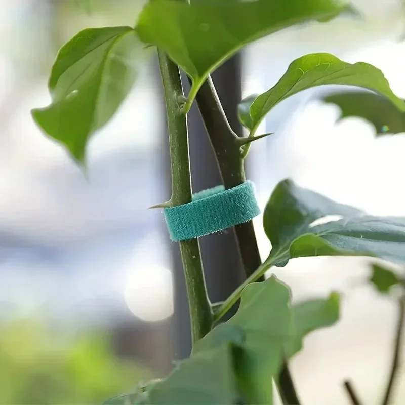 Self Adhesive Plant Nylon Cable Tie Green Adjustable Plants Hook Loop Support Garden Twine Bandage Reusable Fastener Tape Strips thumbnail 2