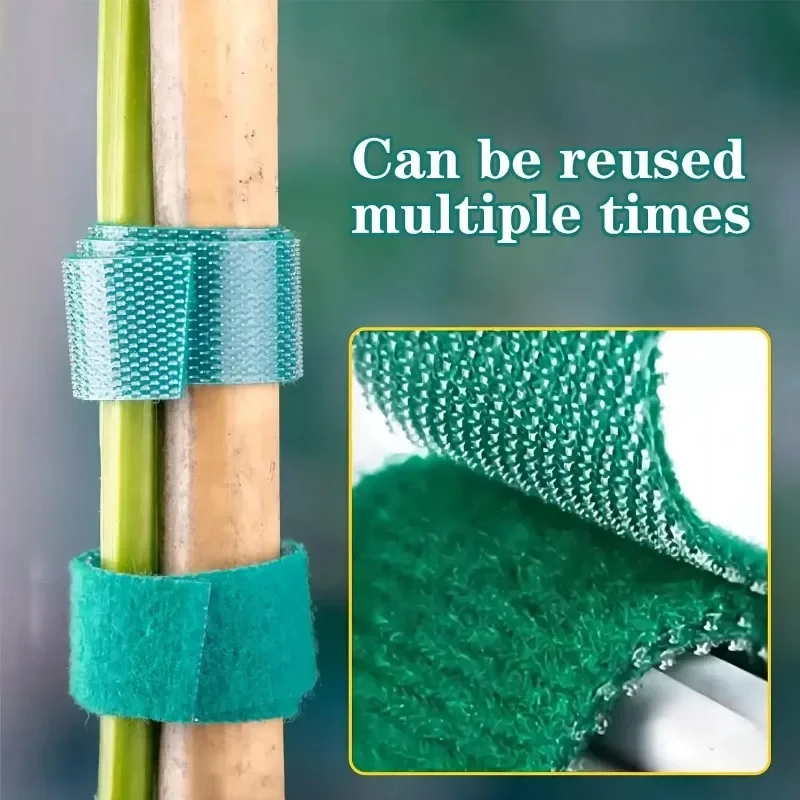 Self Adhesive Plant Nylon Cable Tie Green Adjustable Plants Hook Loop Support Garden Twine Bandage Reusable Fastener Tape Strips thumbnail 3