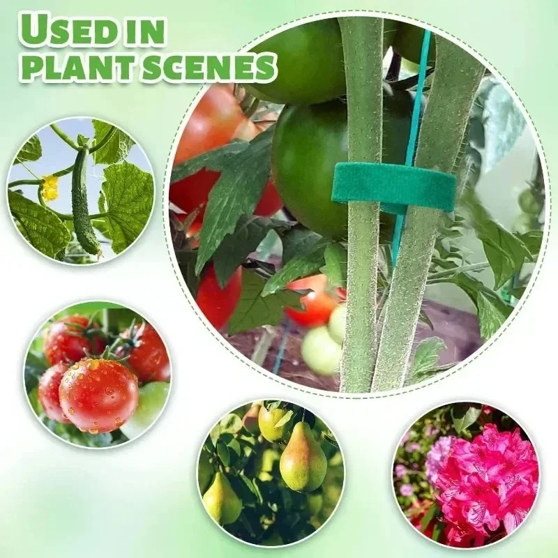 Self Adhesive Plant Nylon Cable Tie Green Adjustable Plants Hook Loop Support Garden Twine Bandage Reusable Fastener Tape Strips thumbnail 4