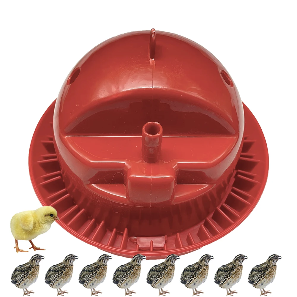 Plastic Automatic Feeder Day Old Chick brooder On Ground Feeding Water Fountain With Float Valve Automatic Chicken Farming thumbnail 2