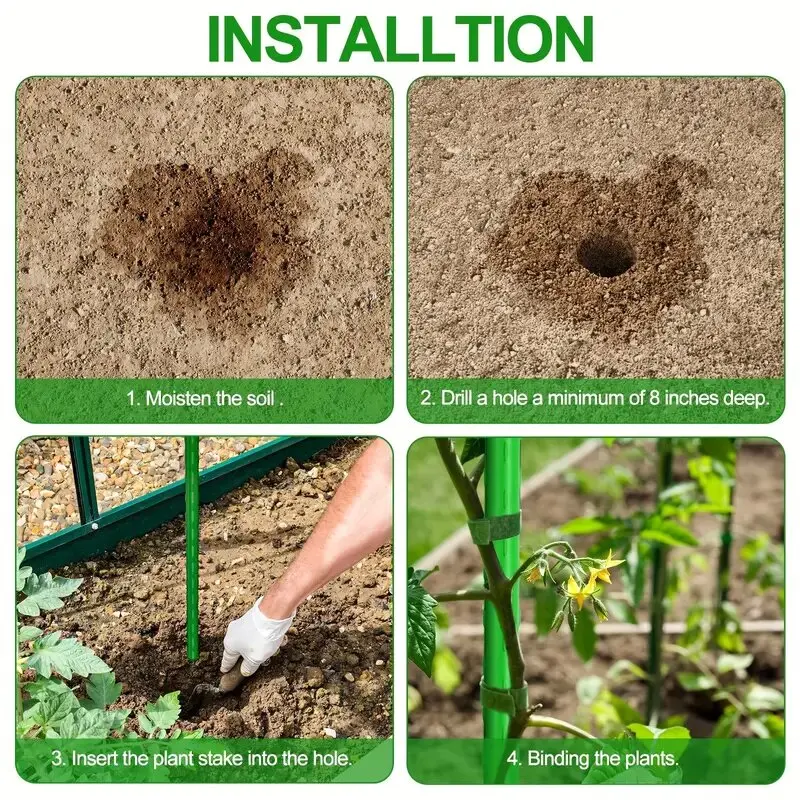"Sturdy Growth" 20Pack Multi-Purpose Plant Support Stakes - Durable Vegetable & Vine Trellis For Tomatoes, Cucumbers, Grapes thumbnail 5
