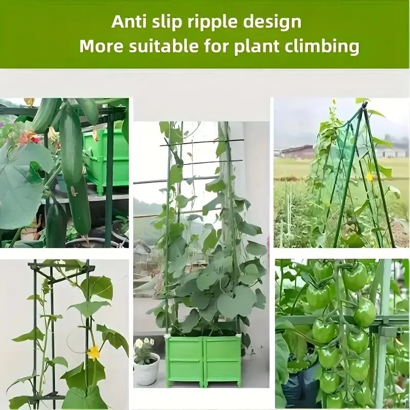 "Sturdy Growth" 20Pack Multi-Purpose Plant Support Stakes - Durable Vegetable & Vine Trellis For Tomatoes, Cucumbers, Grapes thumbnail 6