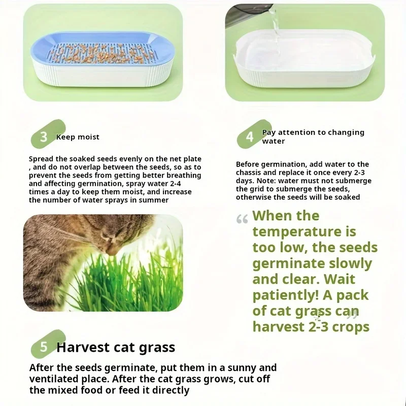 Hydroponic Cat Grass Planter Box Growing Pot Reusable Cat Snack Catnip Planting Container Soil-Free Easy-to-Use Home Supplies thumbnail 6