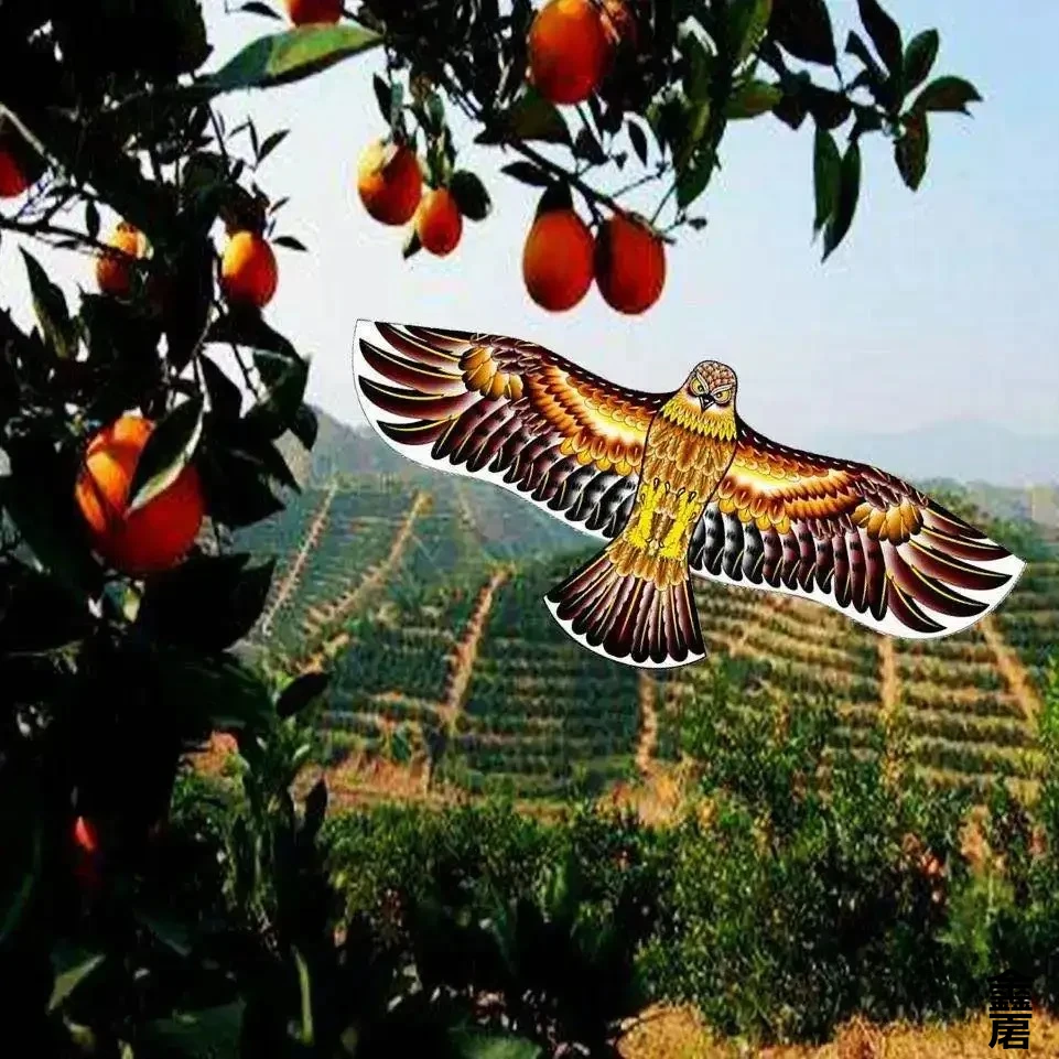 Anti Bird Flying Hawk Kite Bird Repeller Large Eagle Kites Scarecrow Decoy for Farm Garden Pest Bird Repellent thumbnail 3