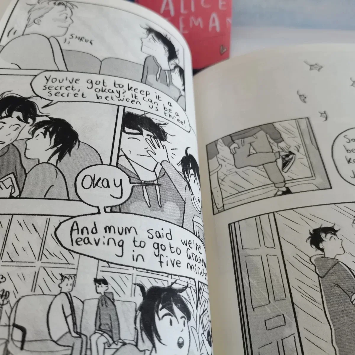 Heartstopper Series Volume 1-4 Books Set By Alice Oseman Libros thumbnail 3