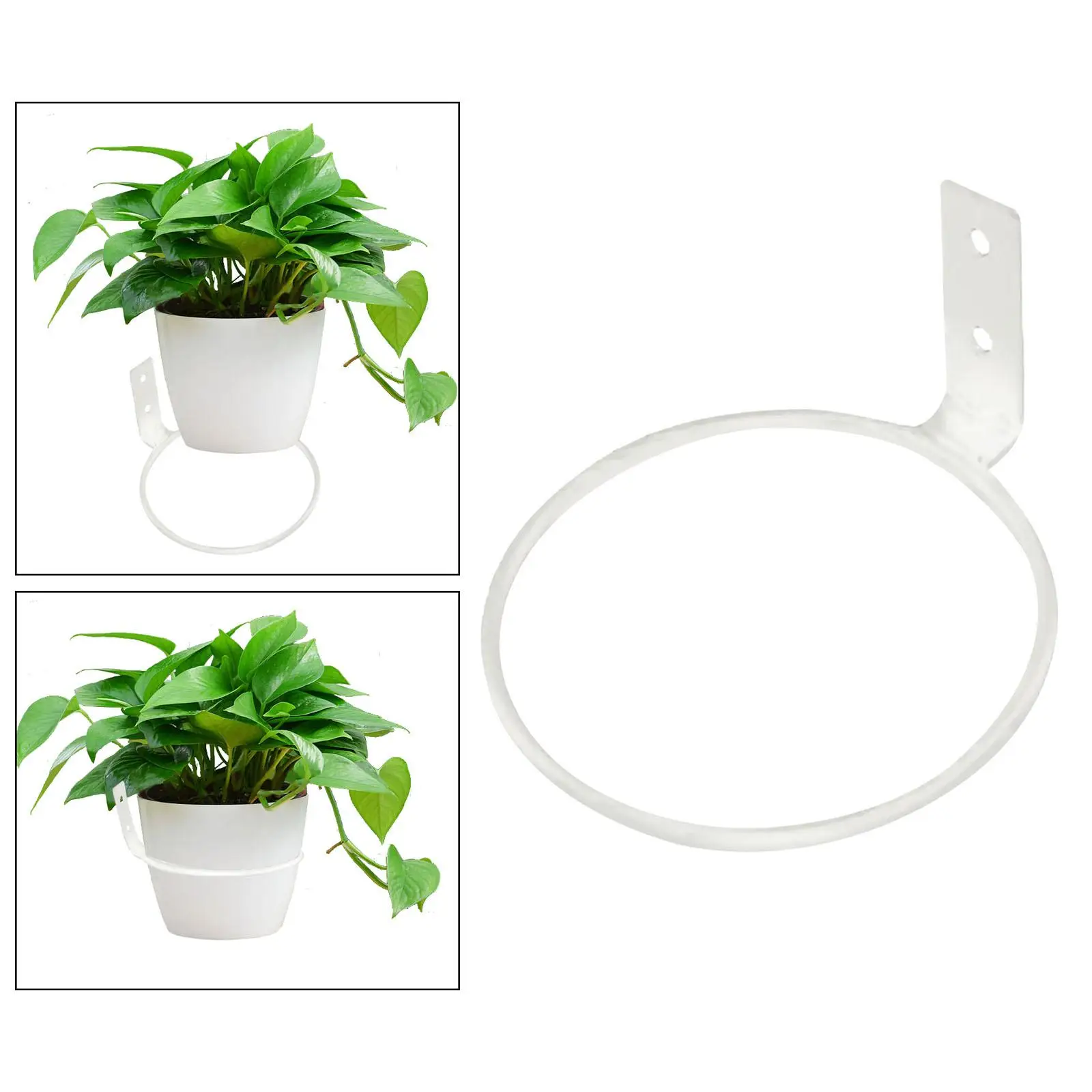Plant Pot Ring Wall Bracket Modern Iron Wall Mount Hanging Plant Holder Plant Stand for Porches Indoor Outdoor Balcony Home thumbnail 3