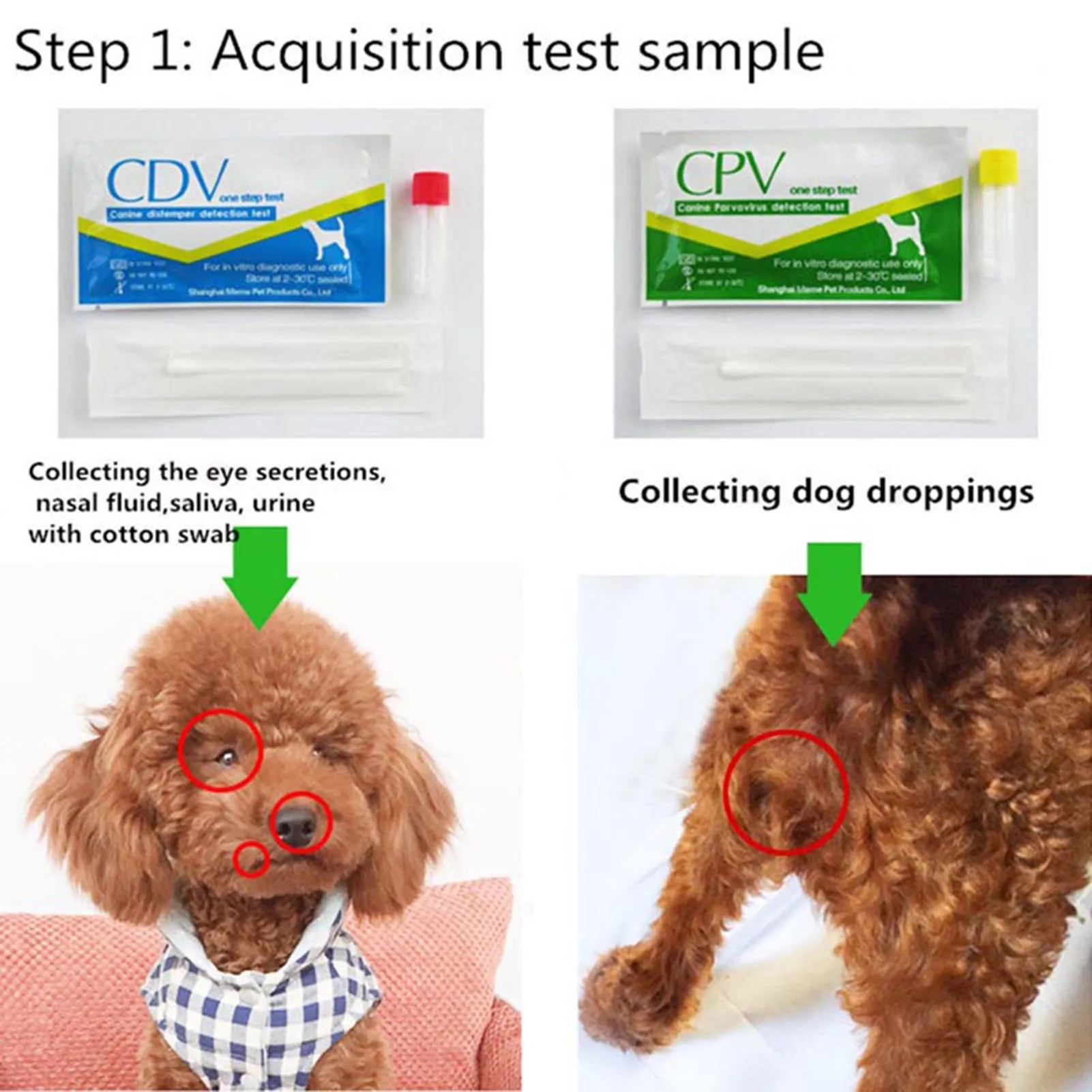 Canine Distemper Test Paper Fast Accurate Canine Dog Distemper Tester Paper Rapid Wellness Detection for Dogs Cats thumbnail 6