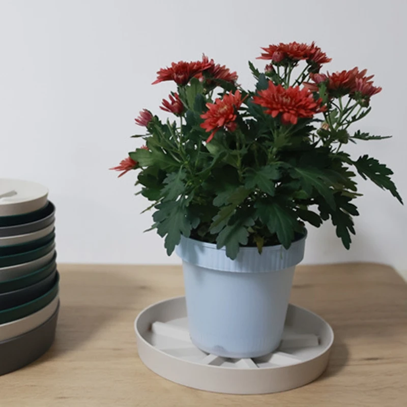 Breathable Pot Tray Round Movable Planter Pallet Outdoor Indoor Tree Flower Planter Stand Daily Use 153-227mm thumbnail 3