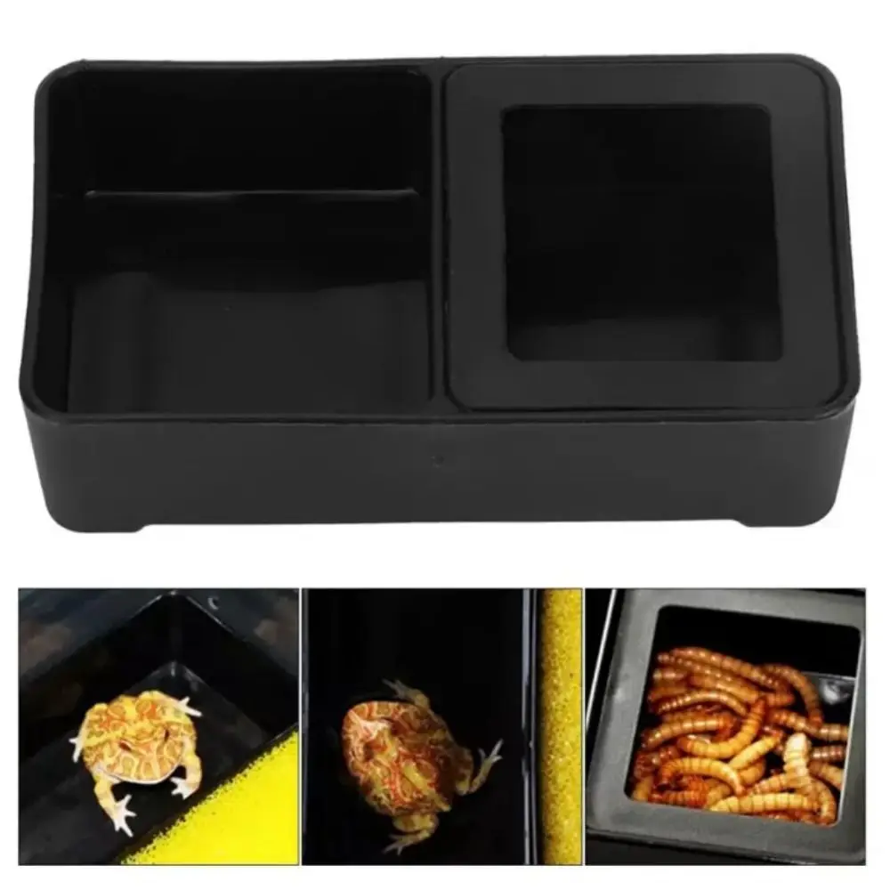 1pc Reptile Tank Insect Spider Ants Nest Food Water Feeding Bowl Plastic Breeding Feeders Box Pet Home Garden Farm Supplies thumbnail 3