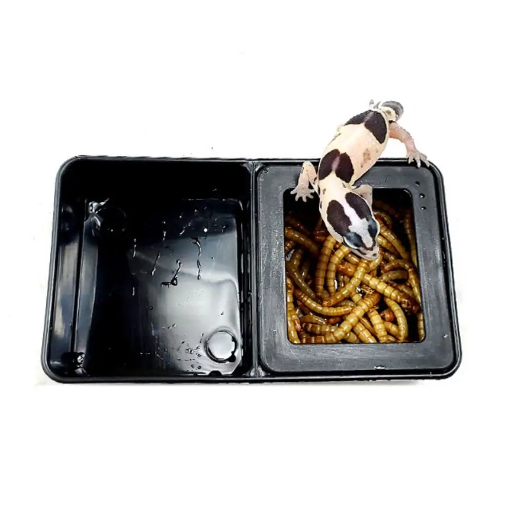 1pc Reptile Tank Insect Spider Ants Nest Food Water Feeding Bowl Plastic Breeding Feeders Box Pet Home Garden Farm Supplies