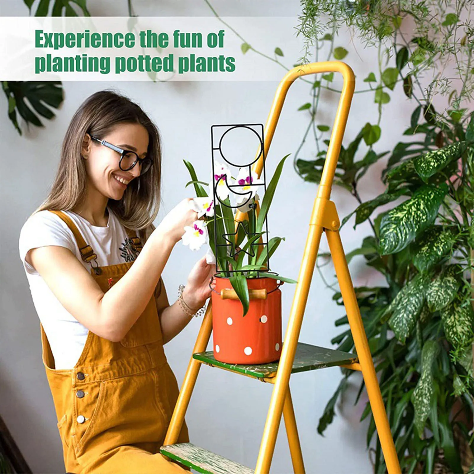 Climbing Plant Trellis Plant Support Garden Stake Stand Climbing Rack Iron Flower Trellis Frame Stand Holder Garden Decor thumbnail 5