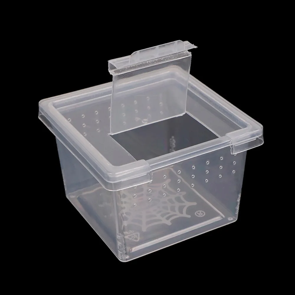 1Pc Plastic Reptiles Living Box Transparent Reptile Terrarium Habitat for Scorpion Spider Ants Lizard Breeding Feeding Case thumbnail 2