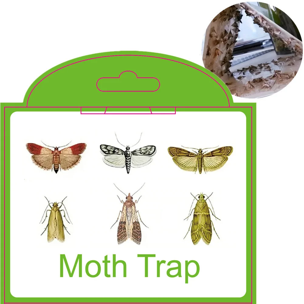 6PCS Silentking Sticker Pheromone Moths Trap Pantry Clothes Kitchen Food Home Garden Pest Control Moth Traps thumbnail 6