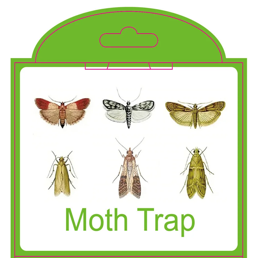 6PCS Silentking Sticker Pheromone Moths Trap Pantry Clothes Kitchen Food Home Garden Pest Control Moth Traps thumbnail 4