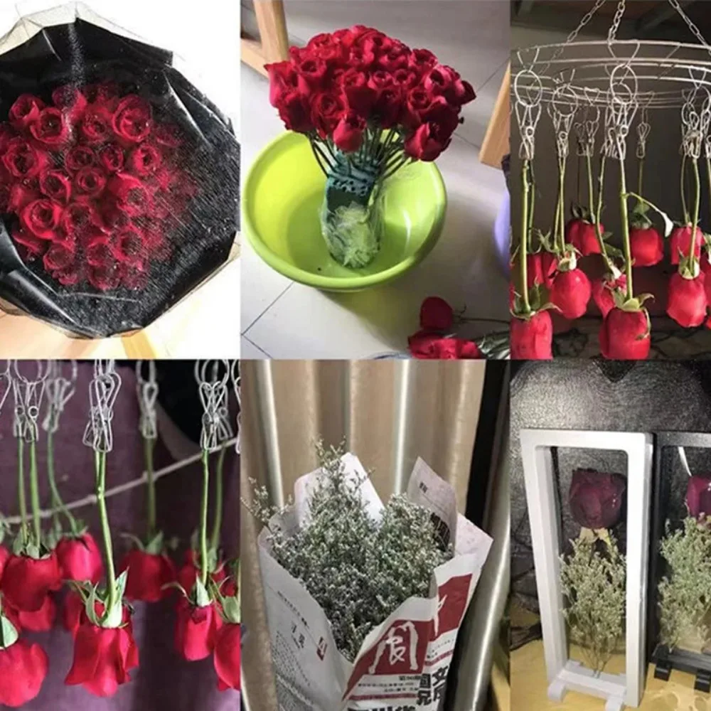 Dried Flower Frame Storage Box Transparent Dried Flower Display Picture Frame Bracelet Jewelry Storage Case Home Wall Decoration thumbnail 2