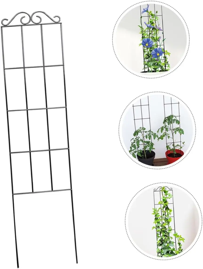 Metal Plant Climbing Frame Garden Indoor Trellis For Climbing Plants Iron Potted Plants Vine Growth Flower Rattan Climbing Rack thumbnail 5