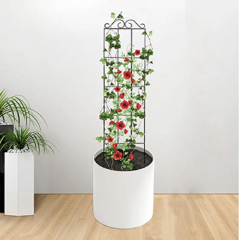 Metal Plant Climbing Frame Garden Indoor Trellis For Climbing Plants Iron Potted Plants Vine Growth Flower Rattan Climbing Rack thumbnail 4