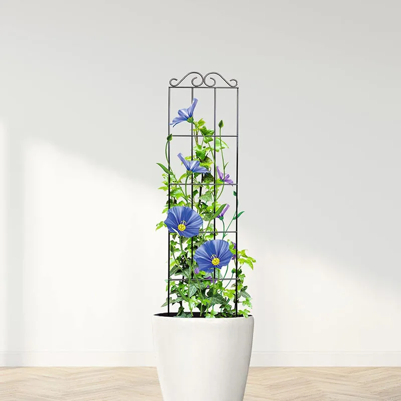 Metal Plant Climbing Frame Garden Indoor Trellis For Climbing Plants Iron Potted Plants Vine Growth Flower Rattan Climbing Rack thumbnail 3