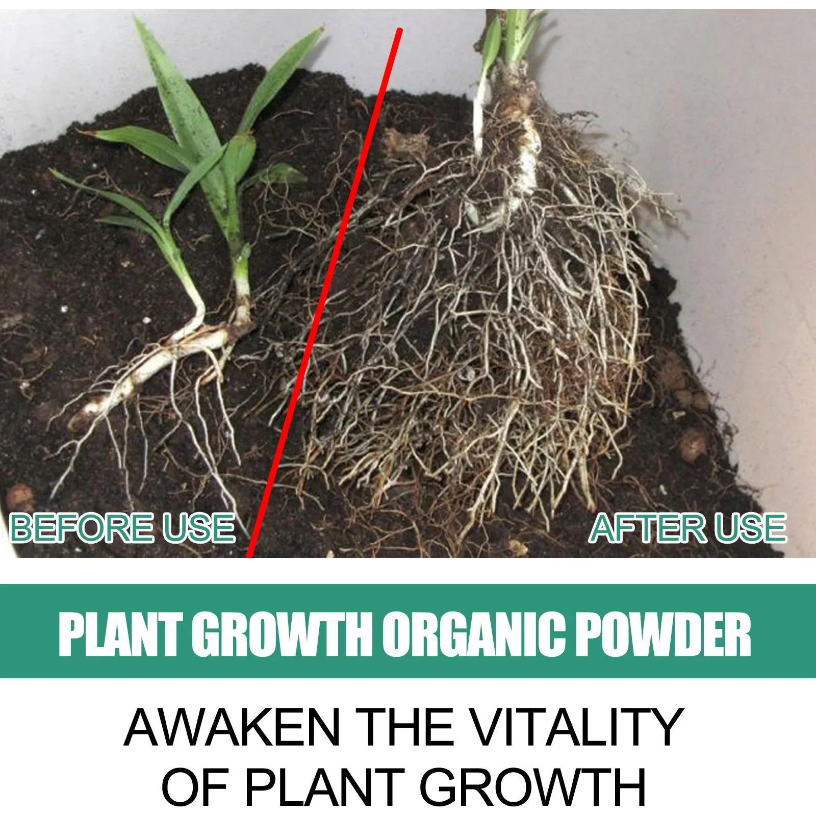 Fast Rooting Powder Plant Soil Improvement Loosening Promote Plant Growth Hydroponics Vegetable Garden Tools Rooting Fertilizer thumbnail 4