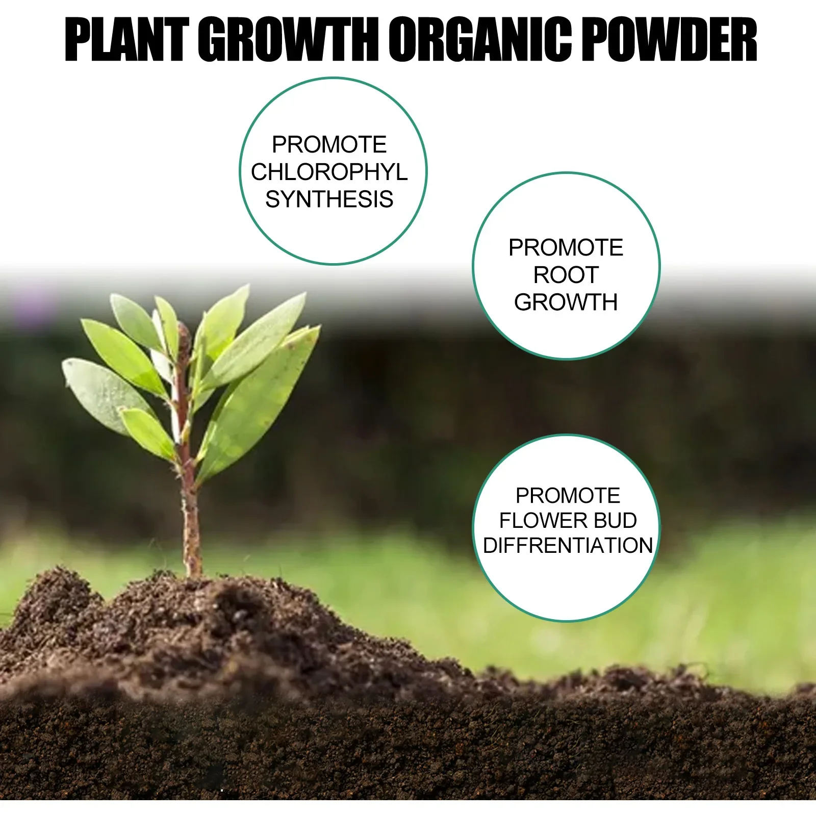 Fast Rooting Powder Plant Soil Improvement Loosening Promote Plant Growth Hydroponics Vegetable Garden Tools Rooting Fertilizer thumbnail 5