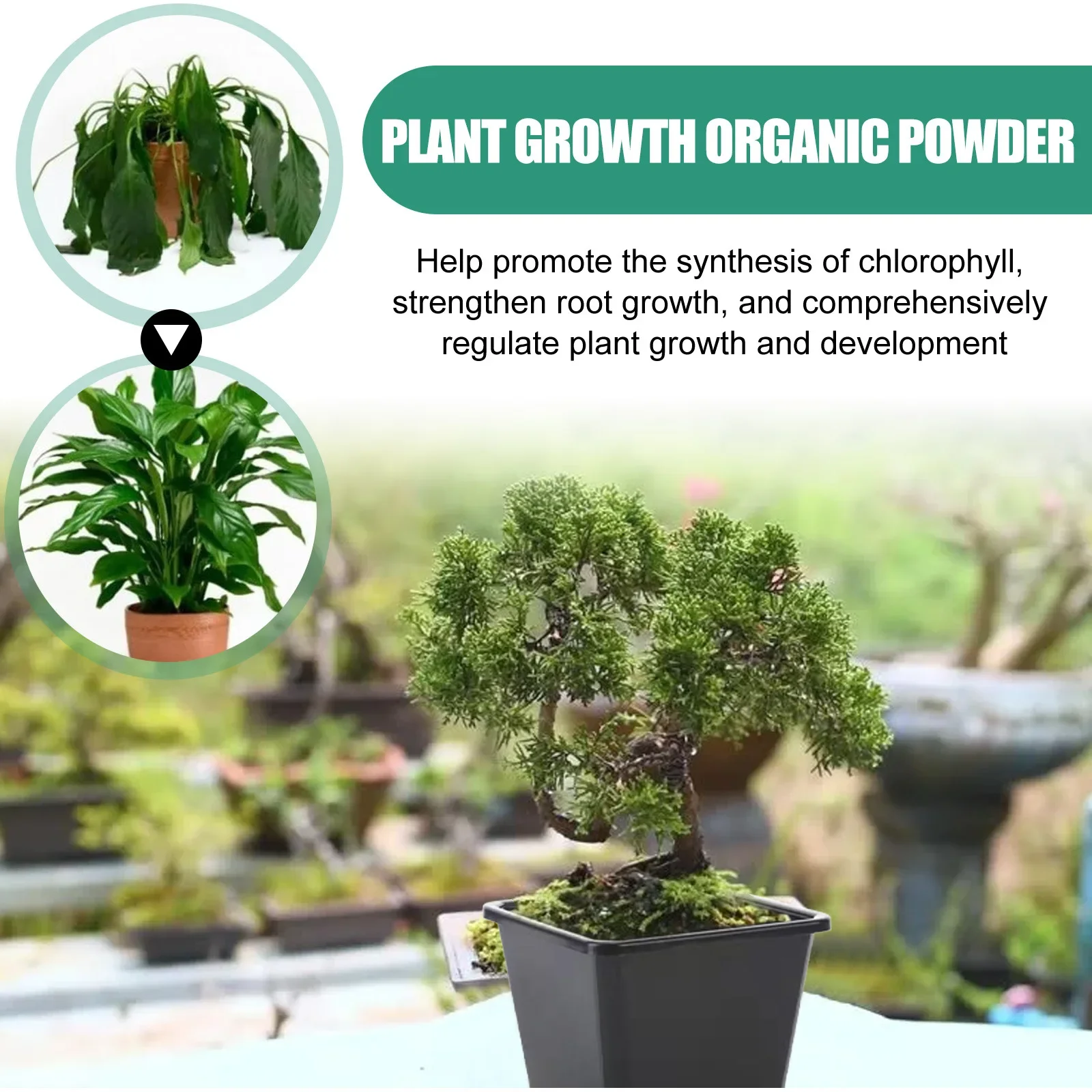 Fast Rooting Powder Plant Soil Improvement Loosening Promote Plant Growth Hydroponics Vegetable Garden Tools Rooting Fertilizer thumbnail 6