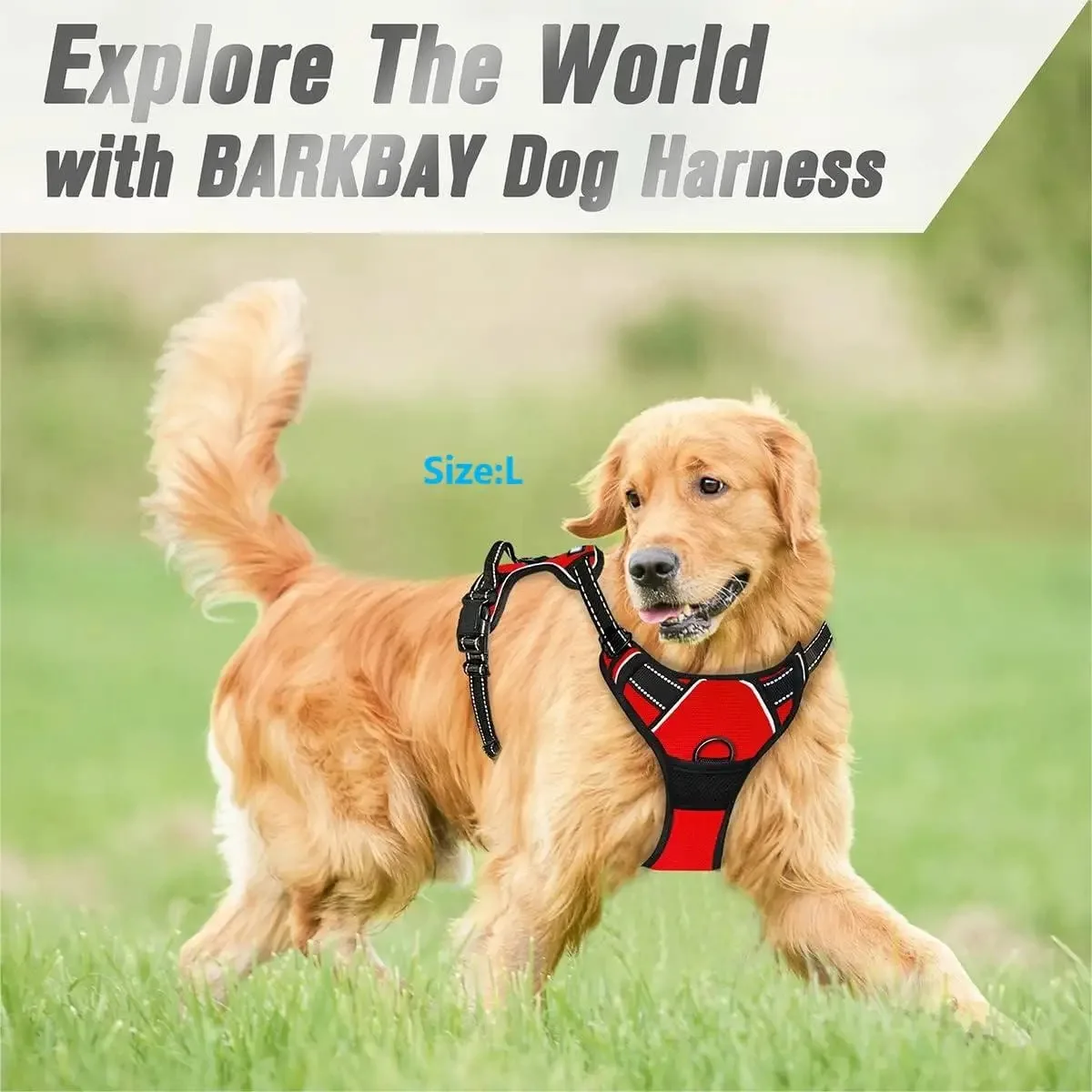 Dog Collars Harness Big Vests Leash Pet Shop Everything for Dogs Leather Puppy Accessories Medium Small Set thumbnail 3