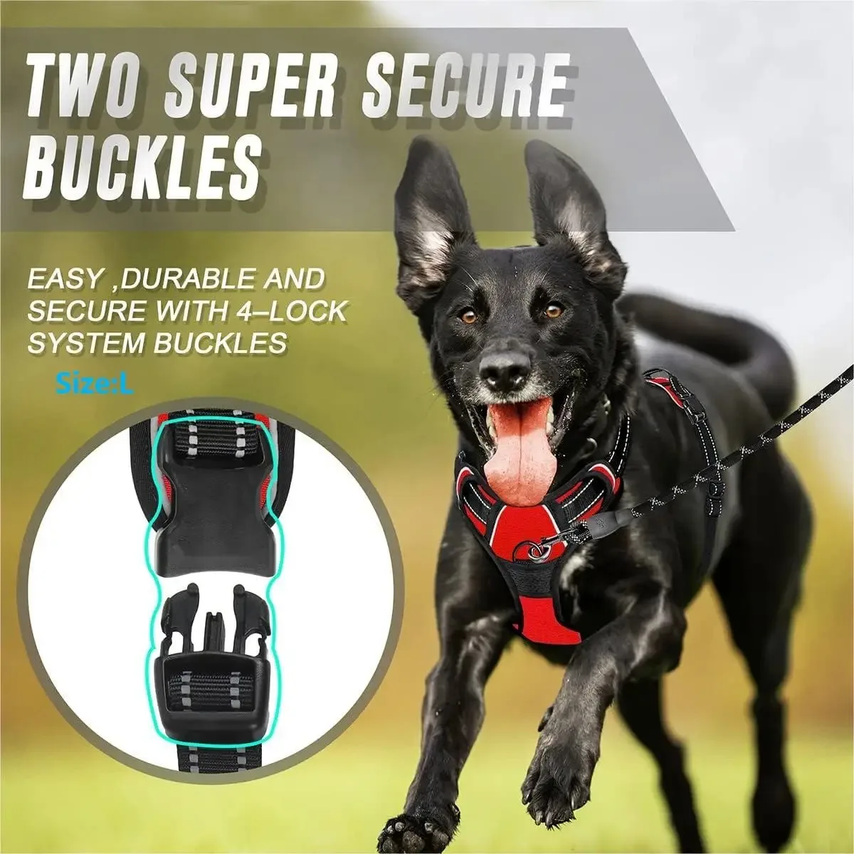 Dog Collars Harness Big Vests Leash Pet Shop Everything for Dogs Leather Puppy Accessories Medium Small Set thumbnail 5