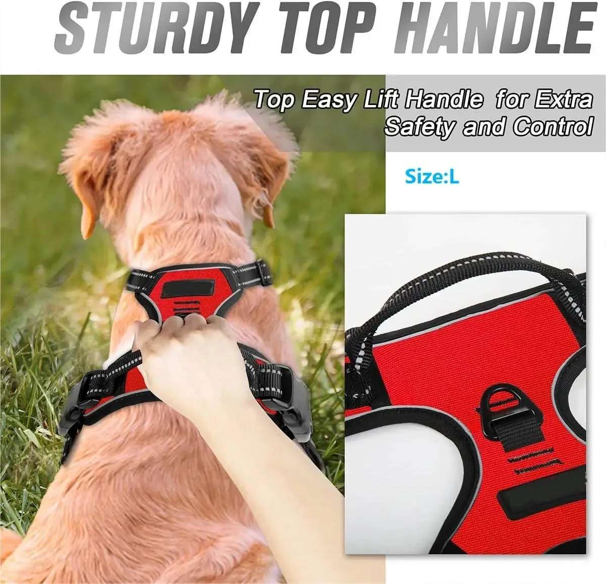 Dog Collars Harness Big Vests Leash Pet Shop Everything for Dogs Leather Puppy Accessories Medium Small Set thumbnail 4