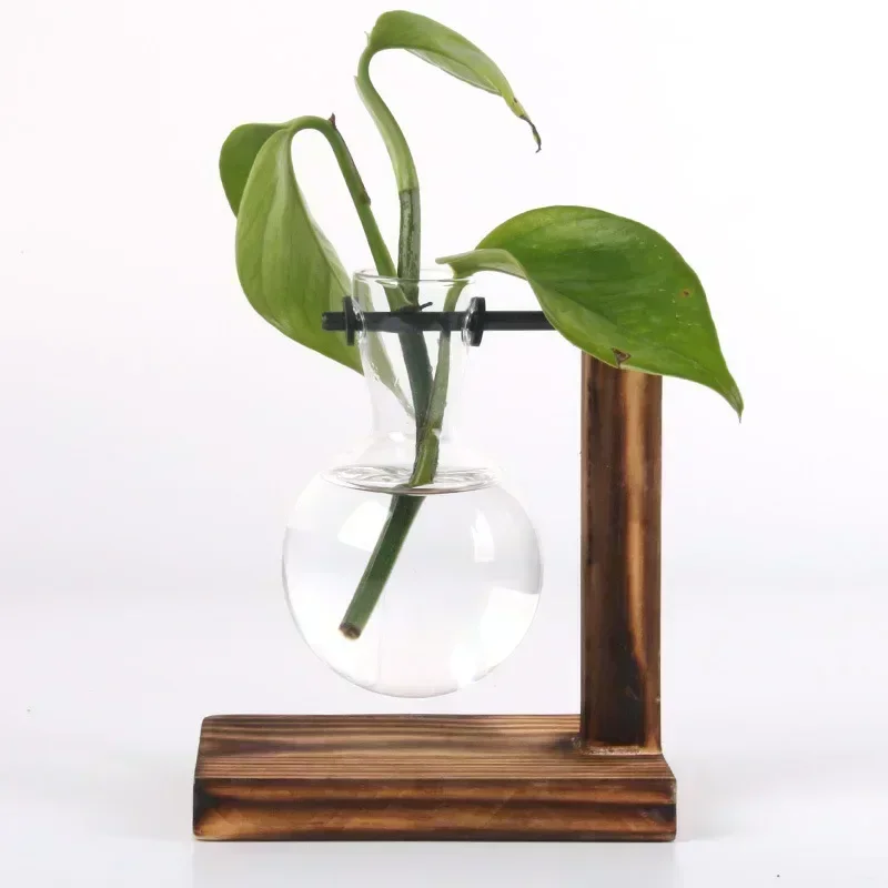 Hydroponic Plant Terrarium Vasevase Decoration Home Glass Bottle Hydroponic Desktop Decoration Office Green Plant Small Potted thumbnail 6
