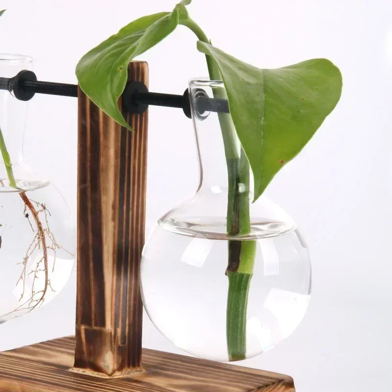 Hydroponic Plant Terrarium Vasevase Decoration Home Glass Bottle Hydroponic Desktop Decoration Office Green Plant Small Potted thumbnail 4