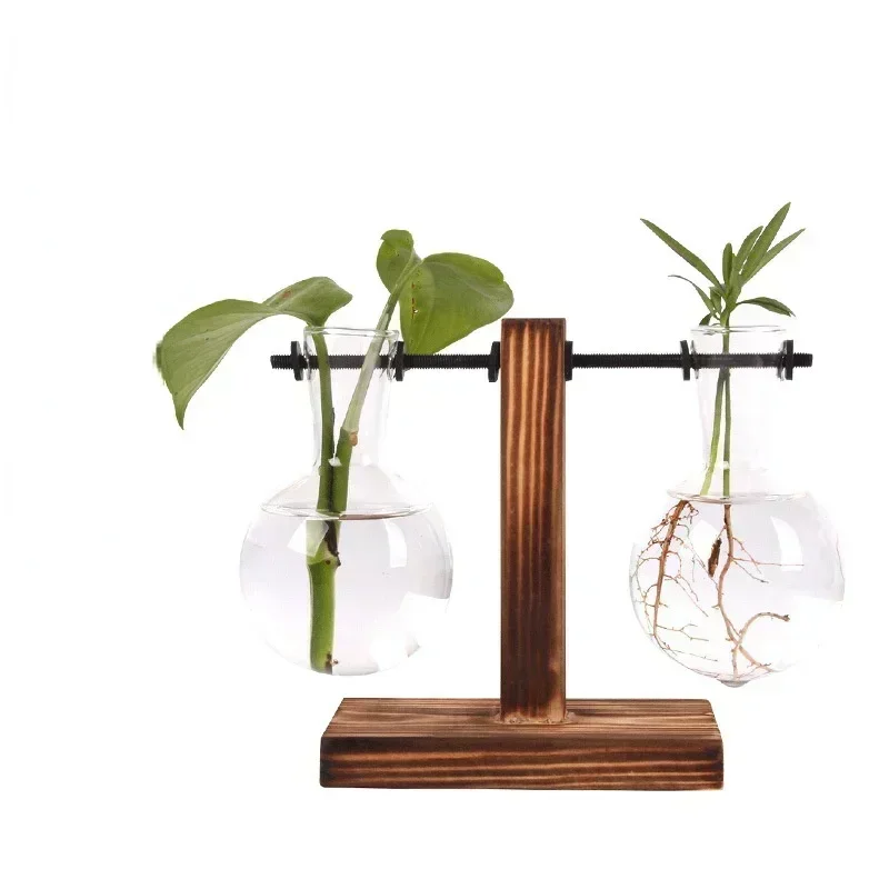 Hydroponic Plant Terrarium Vasevase Decoration Home Glass Bottle Hydroponic Desktop Decoration Office Green Plant Small Potted thumbnail 2