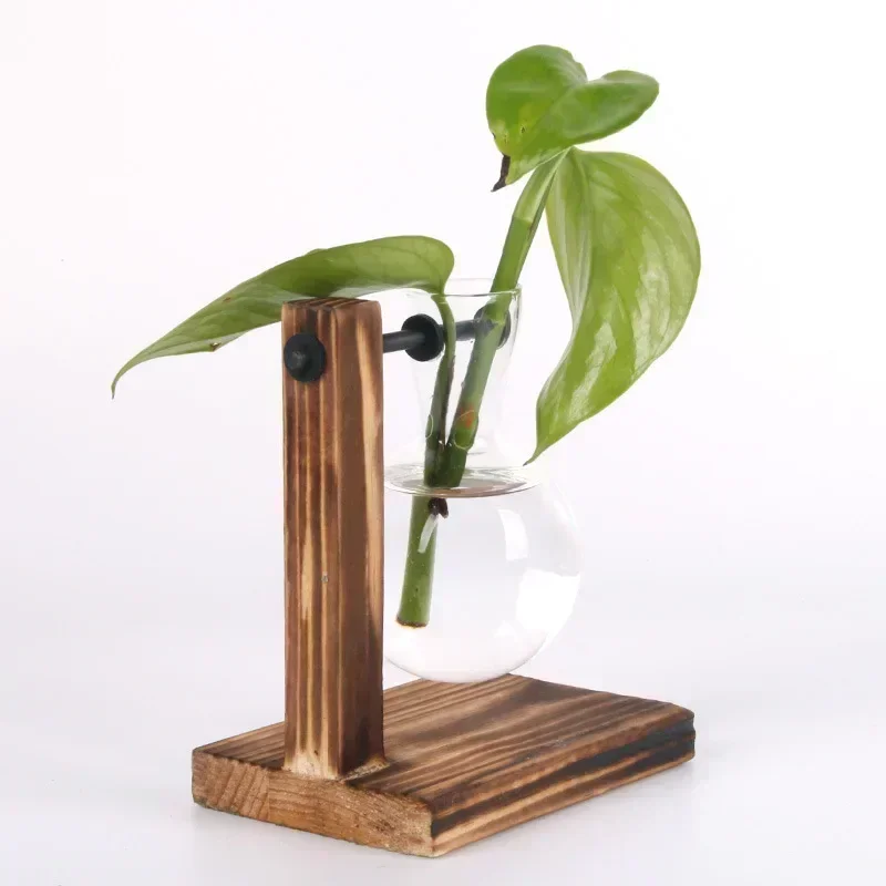 Hydroponic Plant Terrarium Vasevase Decoration Home Glass Bottle Hydroponic Desktop Decoration Office Green Plant Small Potted thumbnail 5