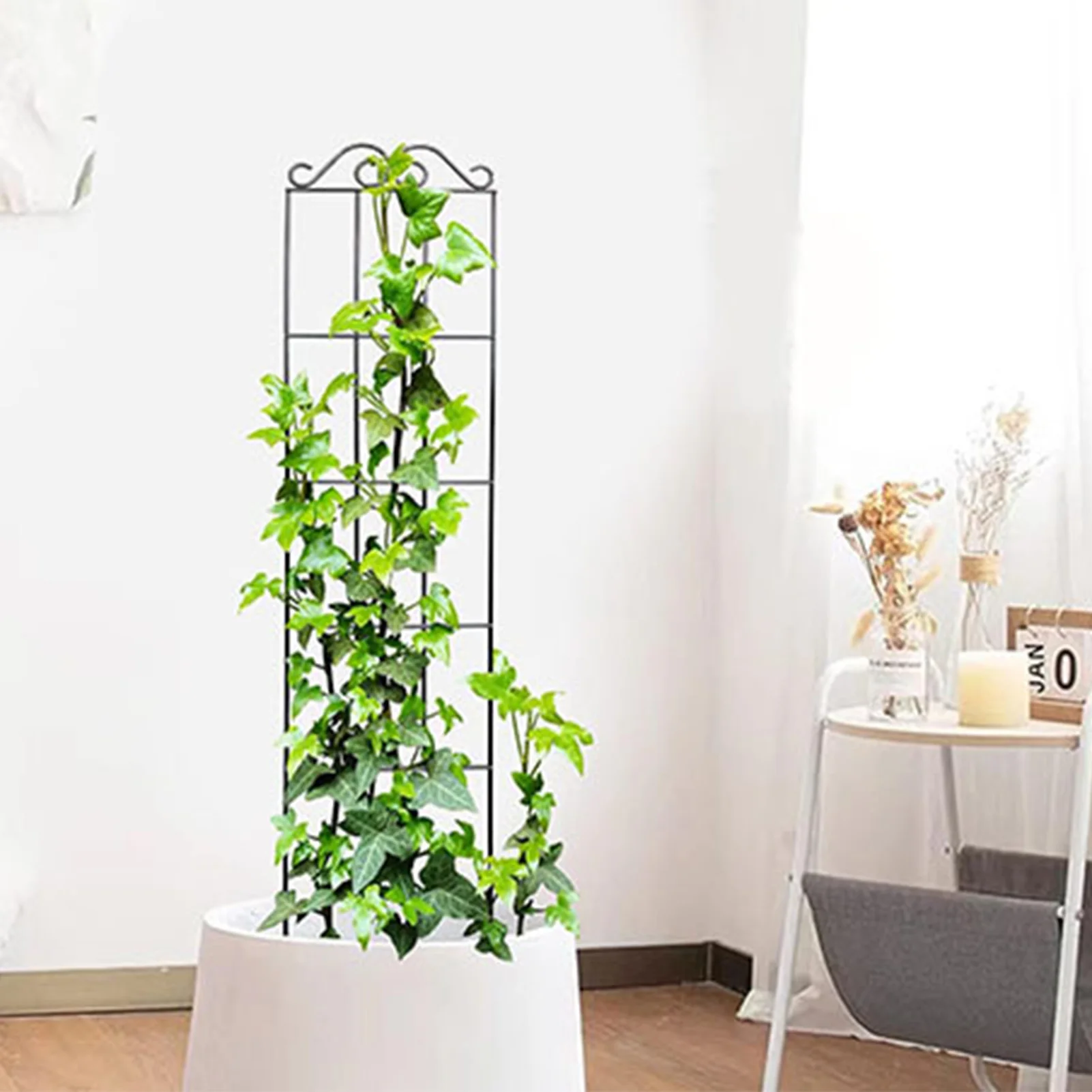 Plants Support Metal Trellis Black Iron Wire Vine Plants Trellis for Garden Enthusiasts Lovers thumbnail 4