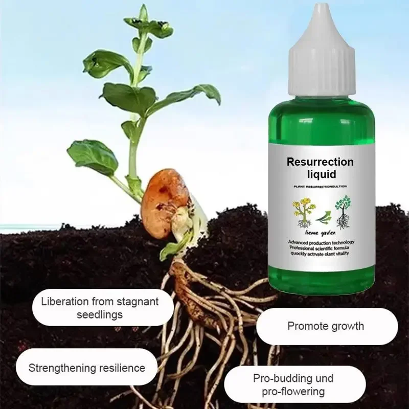 50ML Plant Nutrient Promote Sprouting Rapid Flowering Fast Potting Rooting Plant Nutrient Solution Supplement Garden Tool thumbnail 2