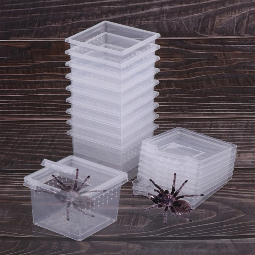 1Pc Plastic Reptiles Living Box Transparent Reptile Terrarium Habitat for Scorpion Spider Ants Lizard Breeding Feeding Case