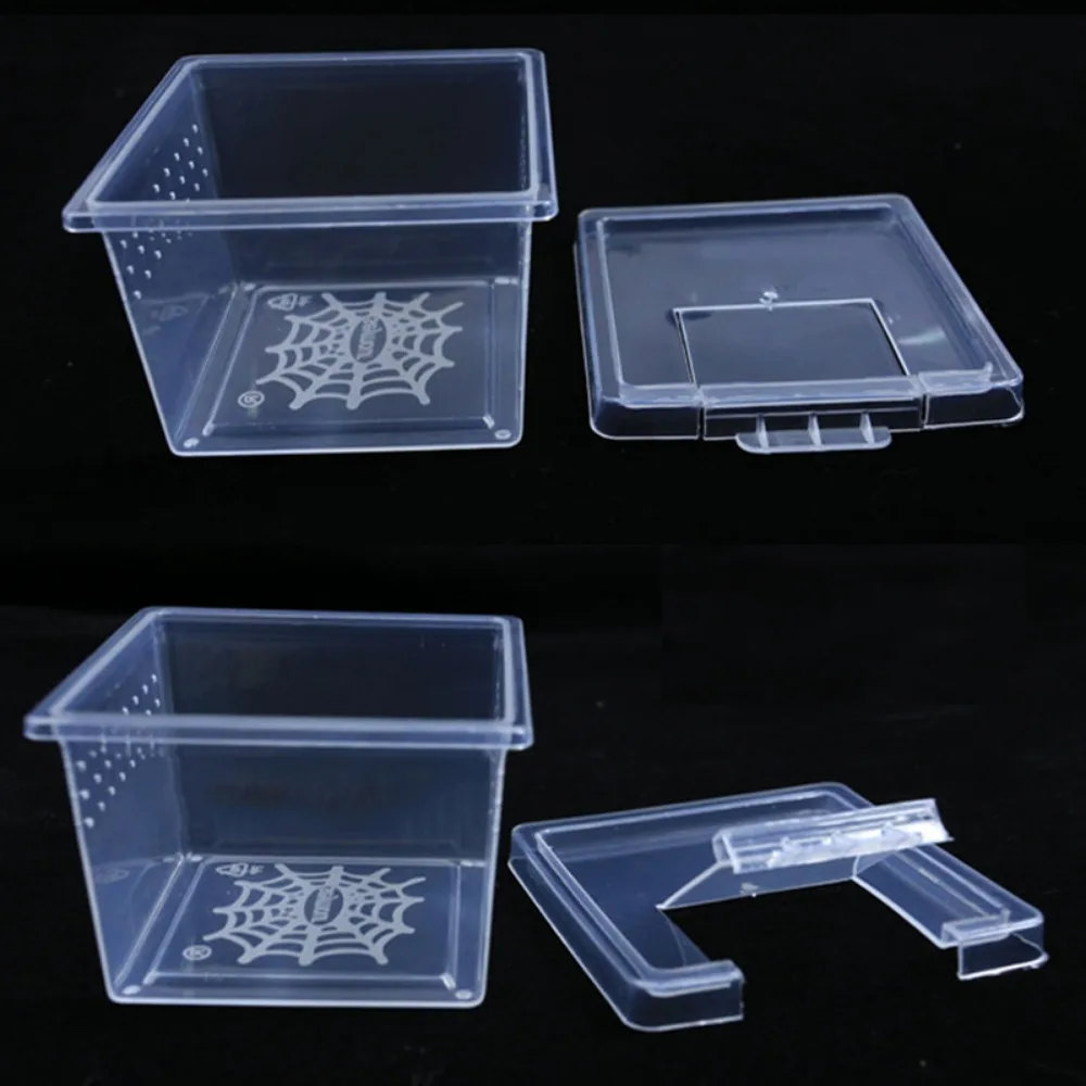 1Pc Plastic Reptiles Living Box Transparent Reptile Terrarium Habitat for Scorpion Spider Ants Lizard Breeding Feeding Case thumbnail 6