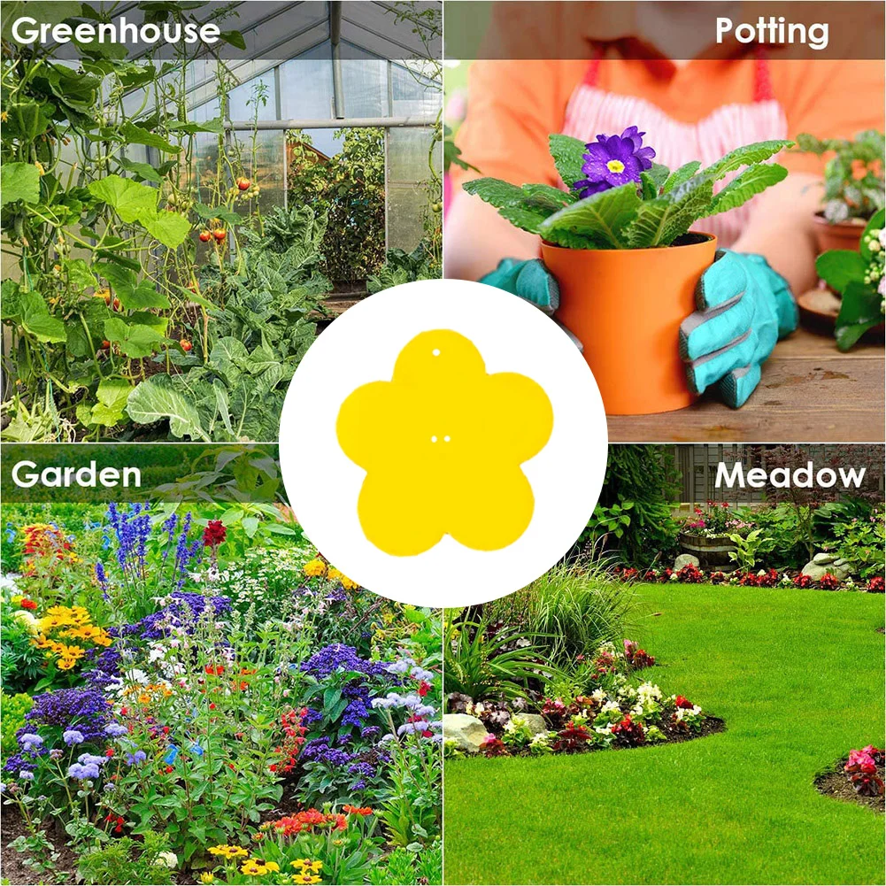 10-100Pcs Strong Yellow Sticky Traps Dual-Sided Sticker Sticky Fly Pest Traps Bugs Pest Outdoor Plant Insect Catcher Sticker thumbnail 4
