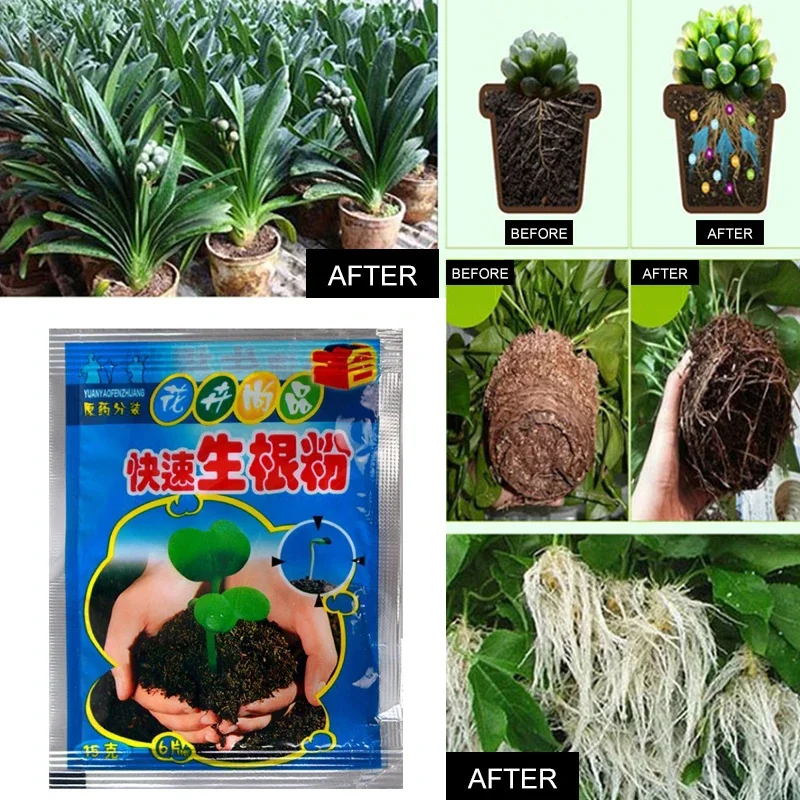 5/20PCS Fast Powder Plant Rapid Rooting Agent Hormone Growing Root Seedg Germination For Most Plants Garden Supplies thumbnail 3
