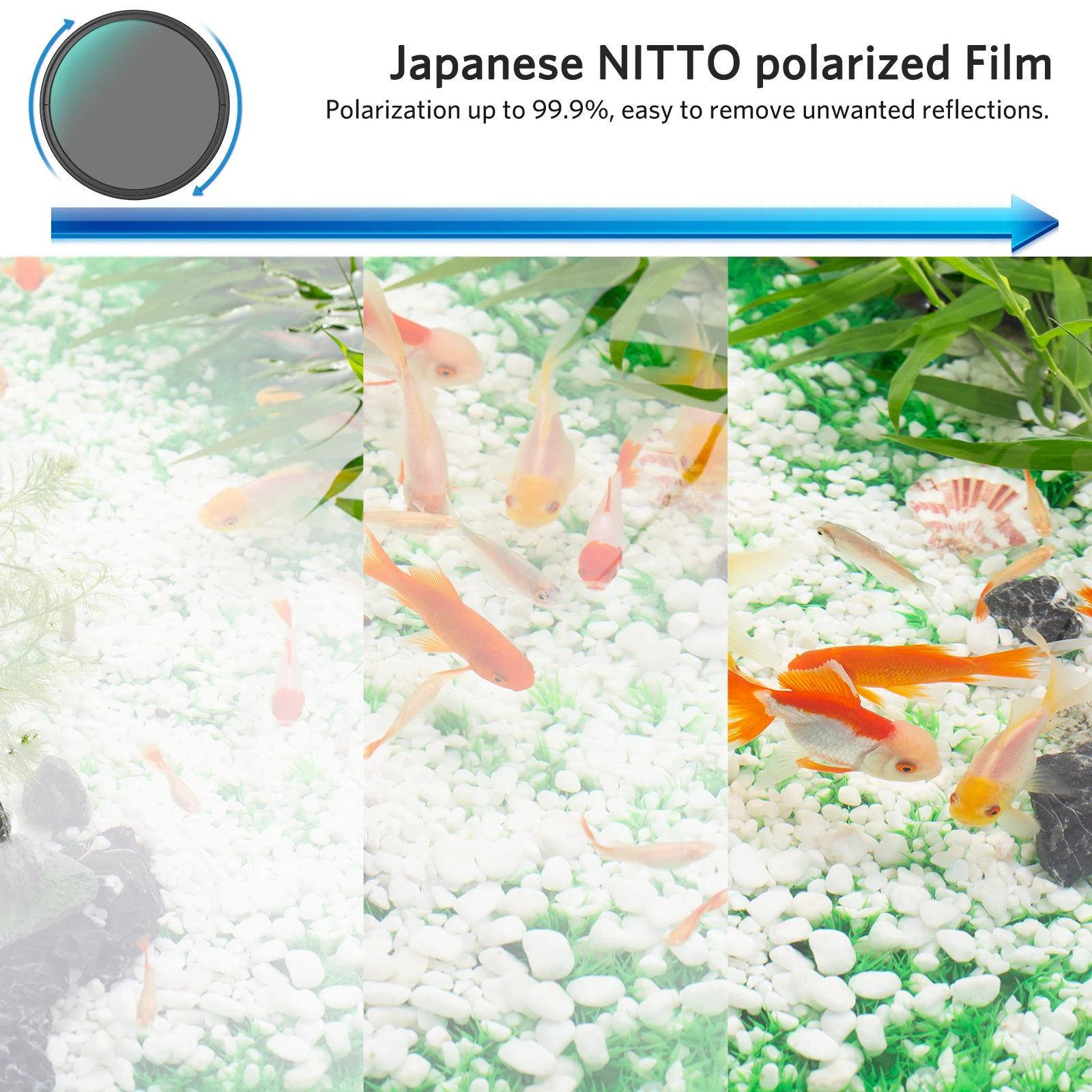 WEYLLAN Circular Polarizing CPL Filter 40.5 43 46 49 52 55 58 62 67 72 77 82mm for Nikon Canon Sony Fujifim Olympus Camera Lens thumbnail 2