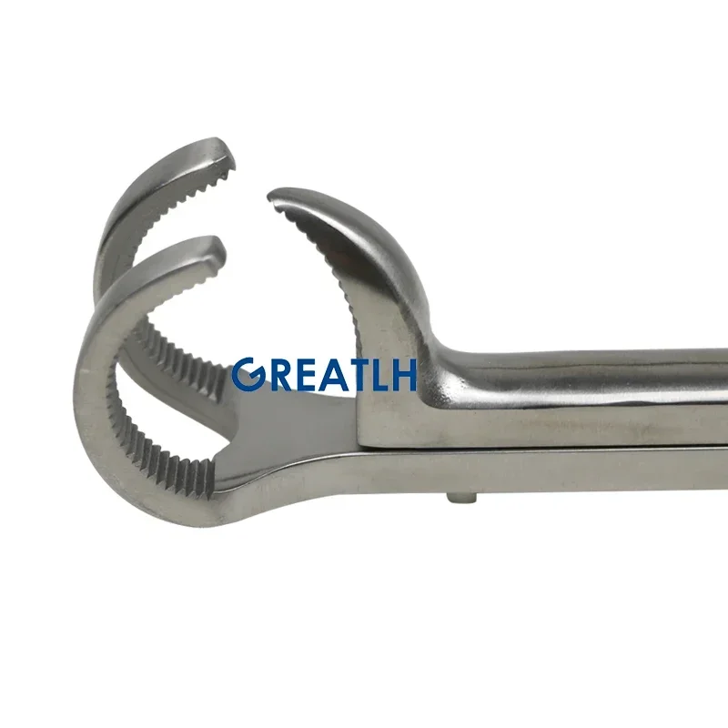 GREATLH Orthopedic Bone Clmap Lambert-Lowman Bone Holding Forceps Stainless Steel Orthopedic Veterinary Instrument thumbnail 3