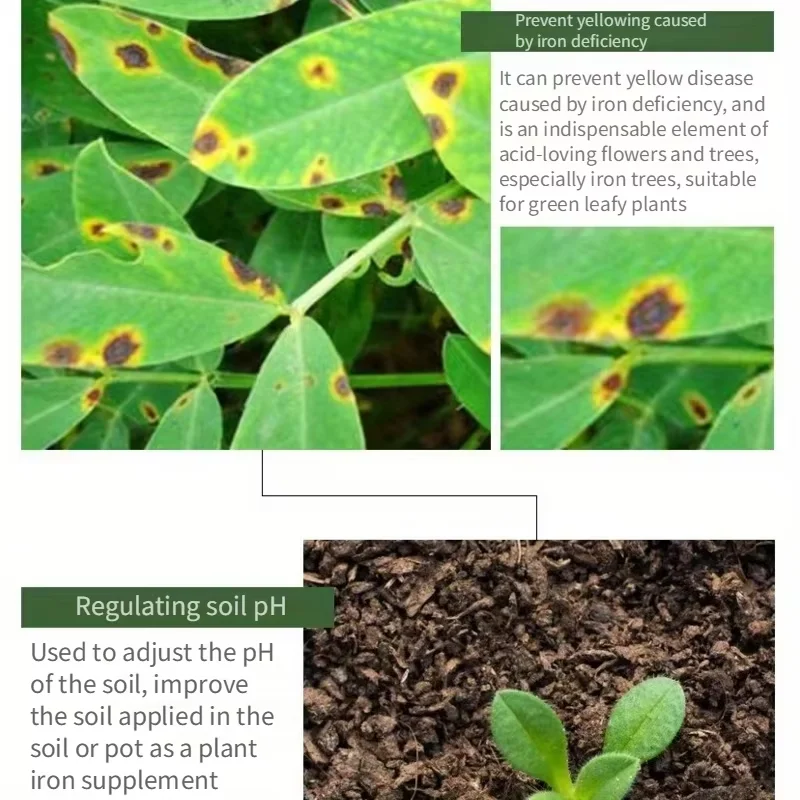 Ferrous sulfate flower acid fertilizer general jasmine flower iron fertilizer rhododendron gardenia special fertilizer thumbnail 3