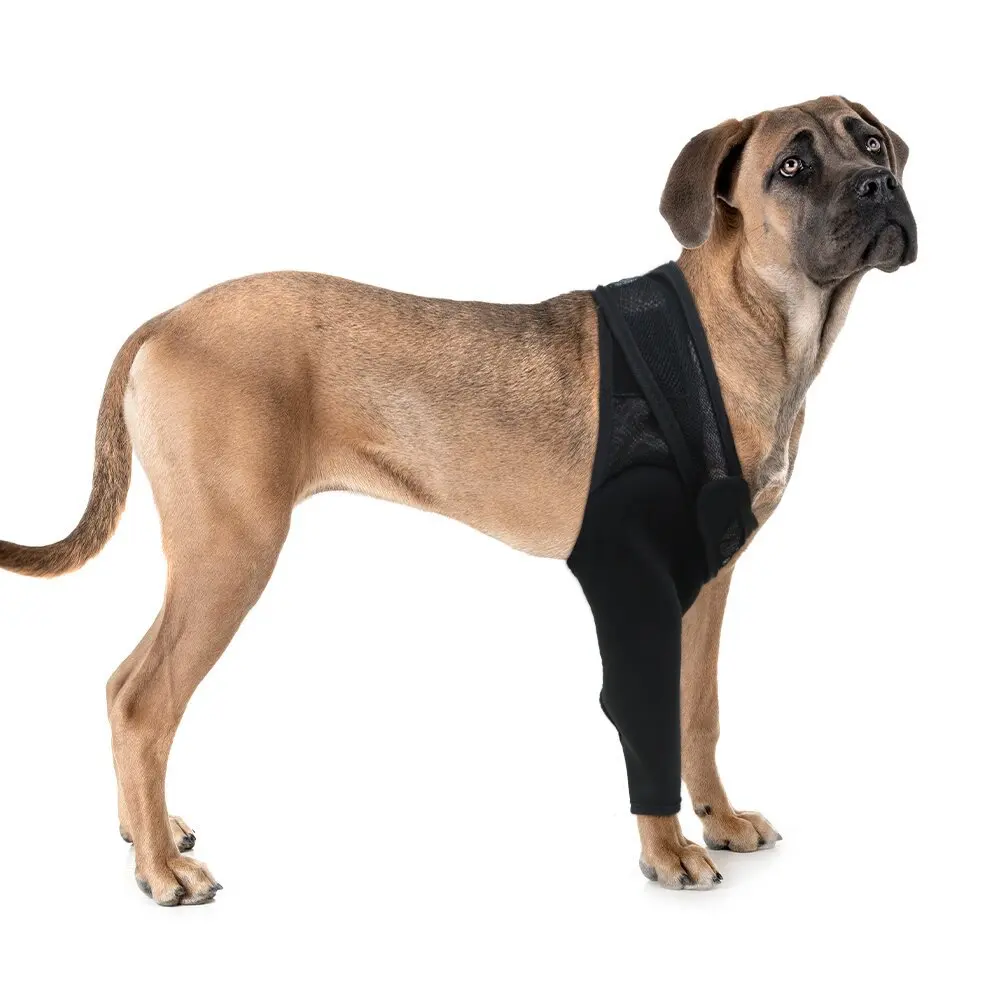 Pet Dog Knee Brace For Joint Pain Muscle Sore Leg Brace Rear Leg Bracer Support For Elderly Disabled Injured Dogs thumbnail 3