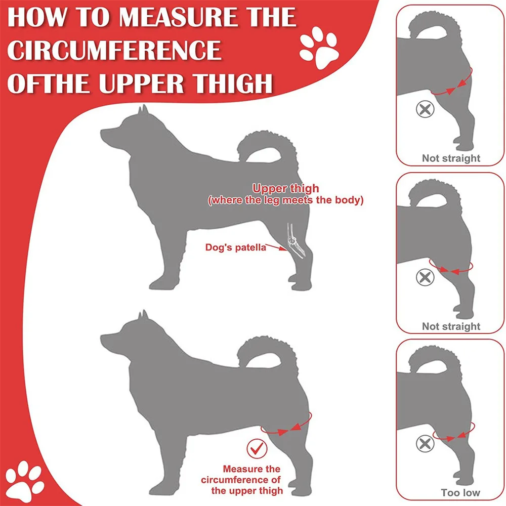 Pet Dog Knee Brace For Joint Pain Muscle Sore Leg Brace Rear Leg Bracer Support For Elderly Disabled Injured Dogs thumbnail 5