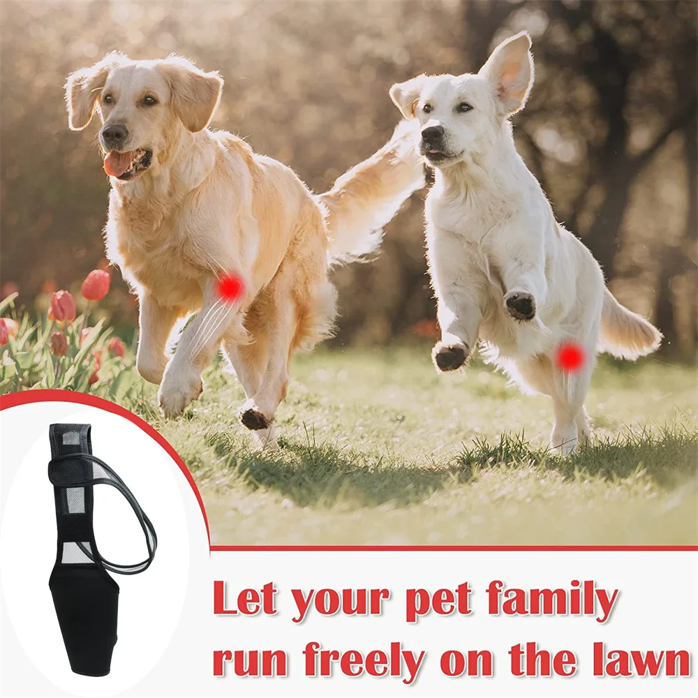 Pet Dog Knee Brace For Joint Pain Muscle Sore Leg Brace Rear Leg Bracer Support For Elderly Disabled Injured Dogs thumbnail 2