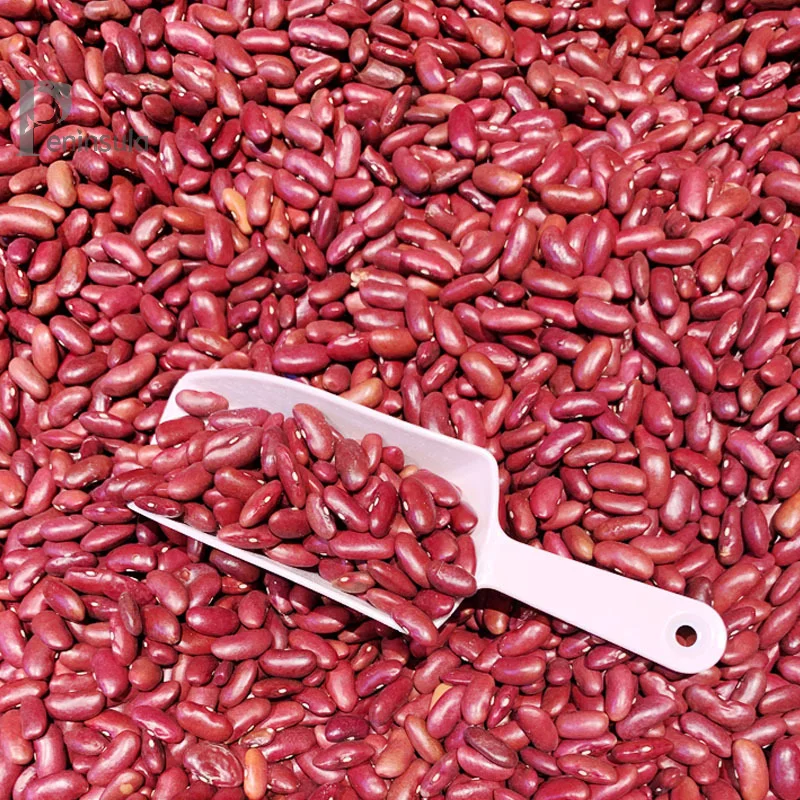 Multi Purpose Plastic Scoops Ice Scooper Rice Flour Candy Pop Corn Coffee Bean thumbnail 2