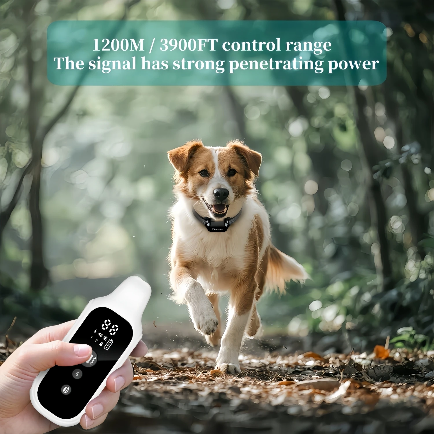 800m Digital Dog Training Collar Waterproof Rechargeable Remote Control Pet with LCD Display for All Size Shock Vibration Sound thumbnail 4