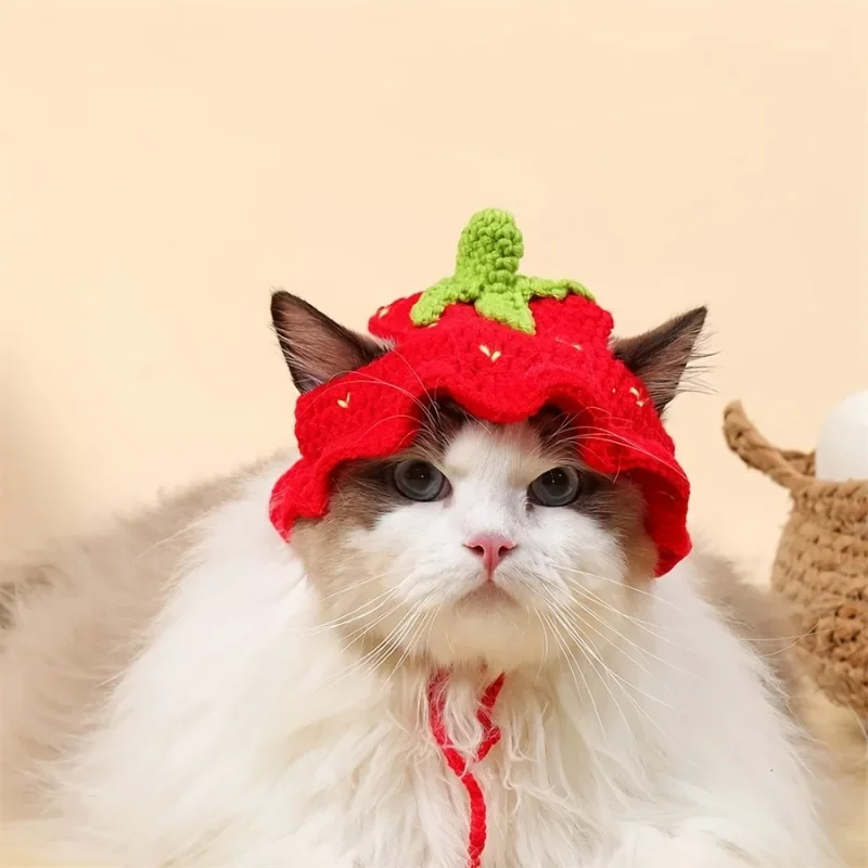 Cat Hats Elastic Cute Puppy Kittens Hat Headwear Photo Shoot Props Cat Accessories thumbnail 4